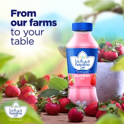 Hayatna Strawberry Flavoured Milk 200 ml
