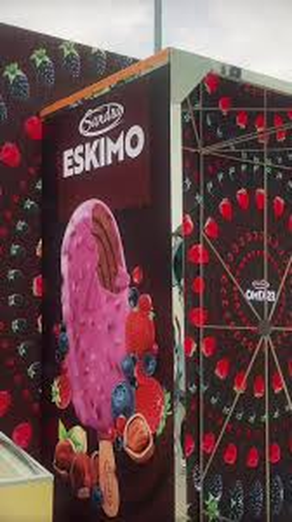 SANDRA Ice cream ESKIMO forest fruit topping