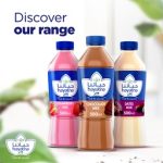 Hayatna Chocolate Flavoured Milk 500 ml