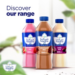 Hayatna Chocolate Flavoured Milk 500 ml