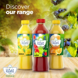 Hayatna No Added Sugar 100% Pure Mixed Berry Juice 500 ml