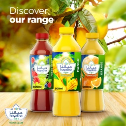 Hayatna No Added Sugar 100% Pure Mango Nectar 500 ml