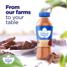 Hayatna Chocolate Flavoured Milk 200 ml